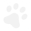 Topbernesemountaindogs