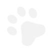 paw.png