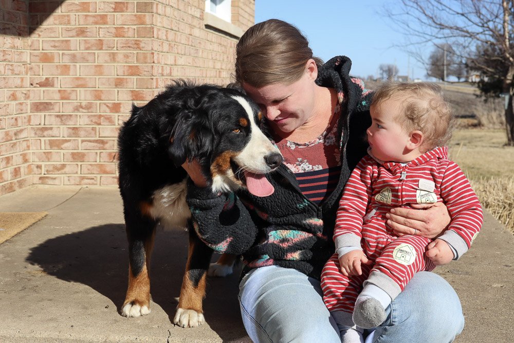 Bonnie+Bernese+Mountain+Dog-11
